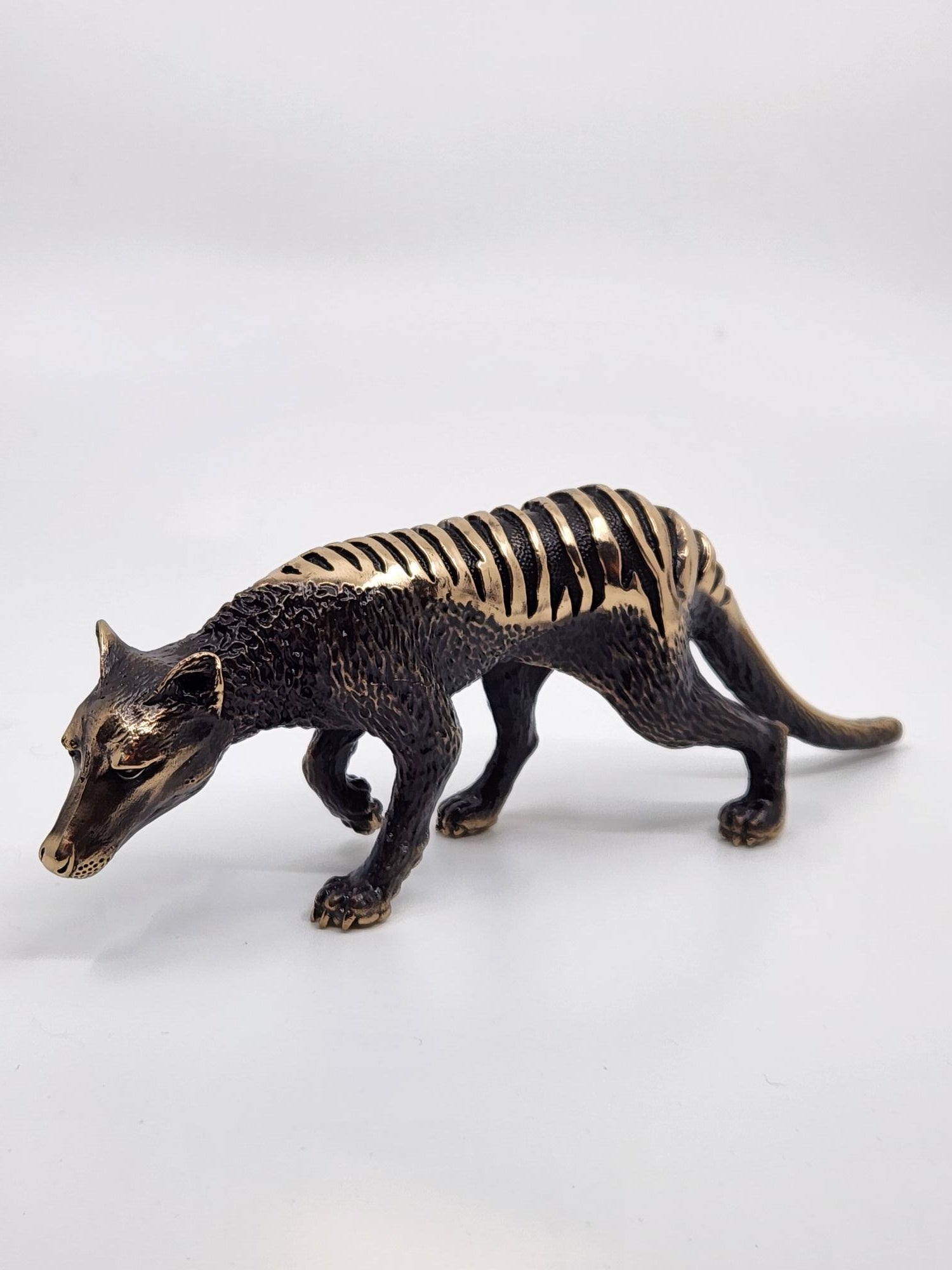 Bronze Thylacine