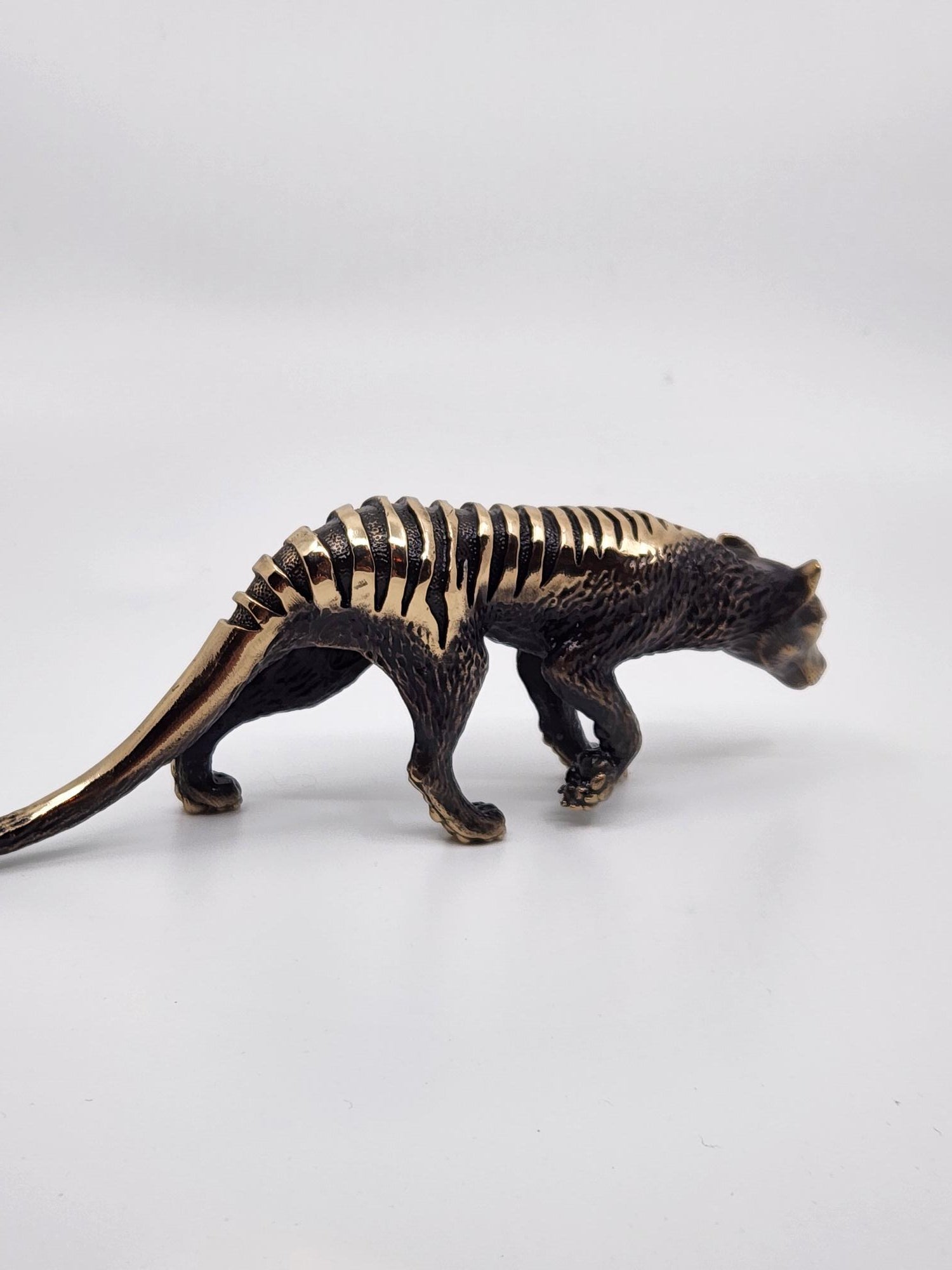 Bronze Thylacine