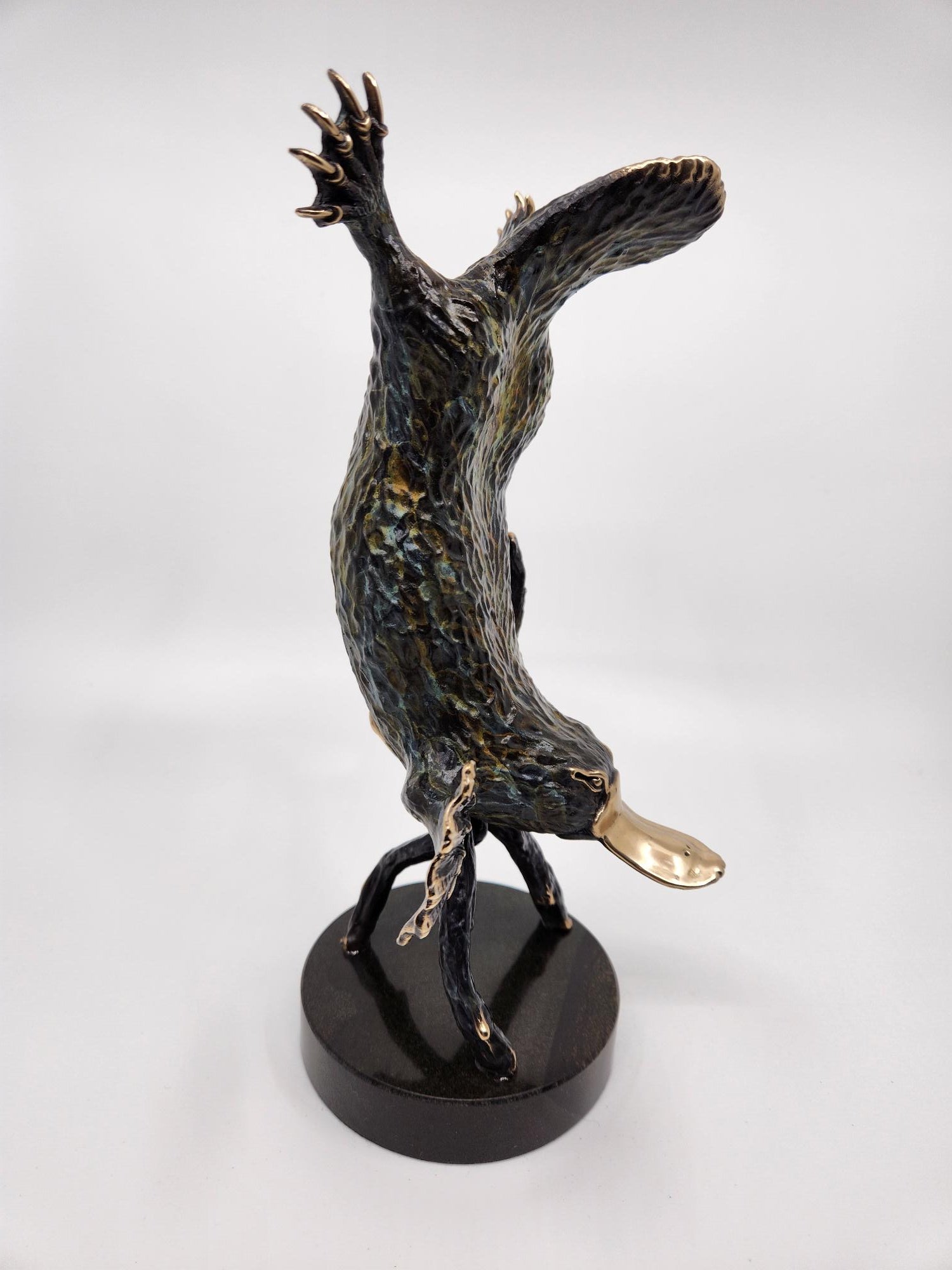 Bronze Platypus Diving