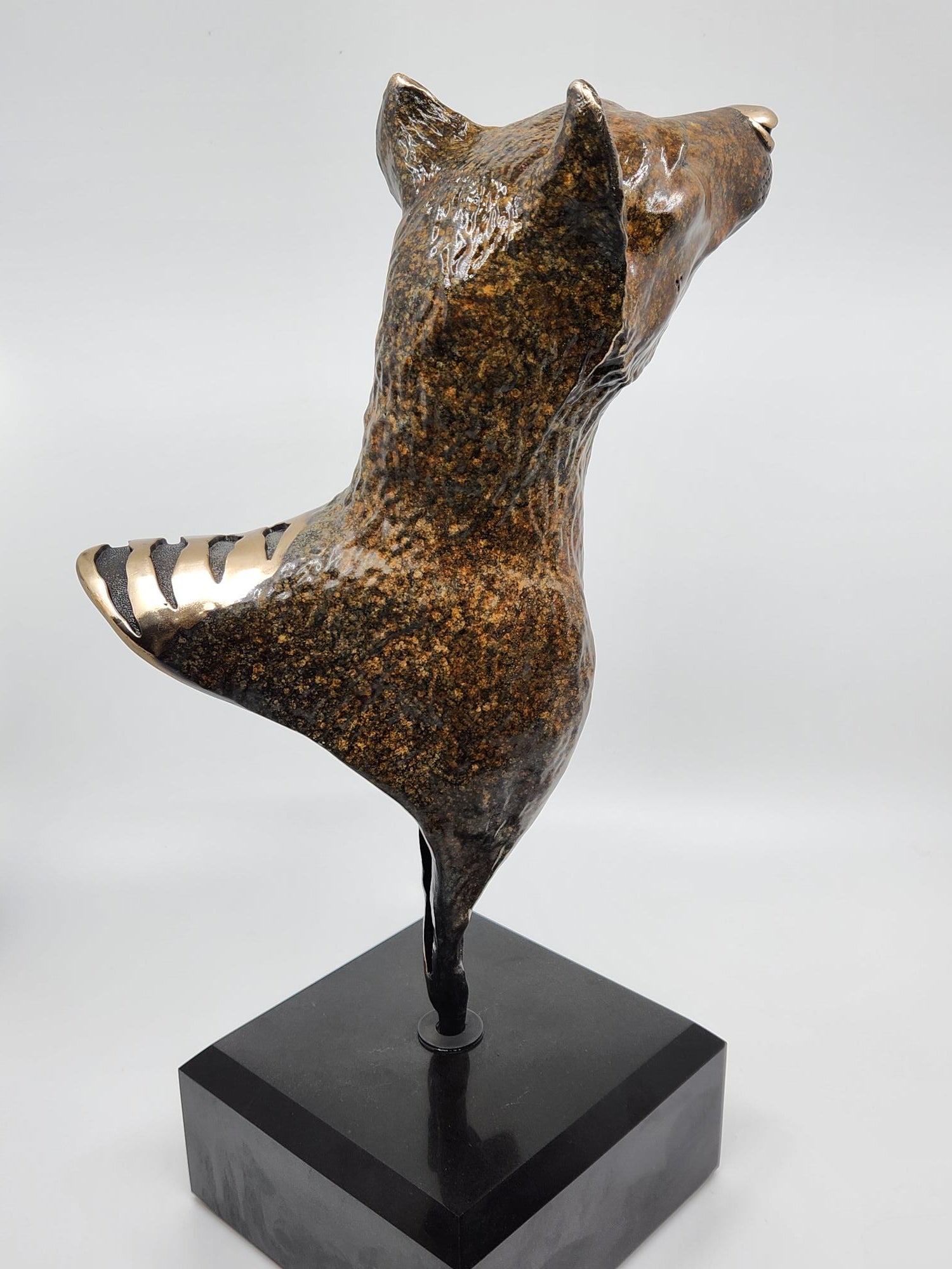 Thylacine Bust on Marble Base