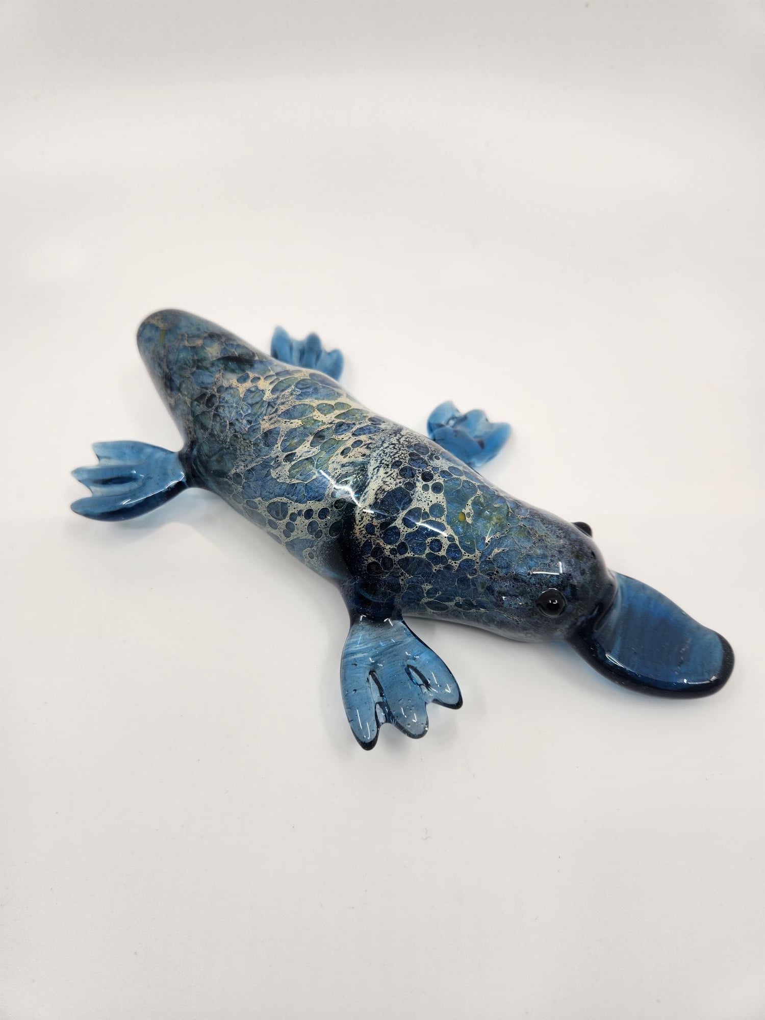 Large Female Platypus