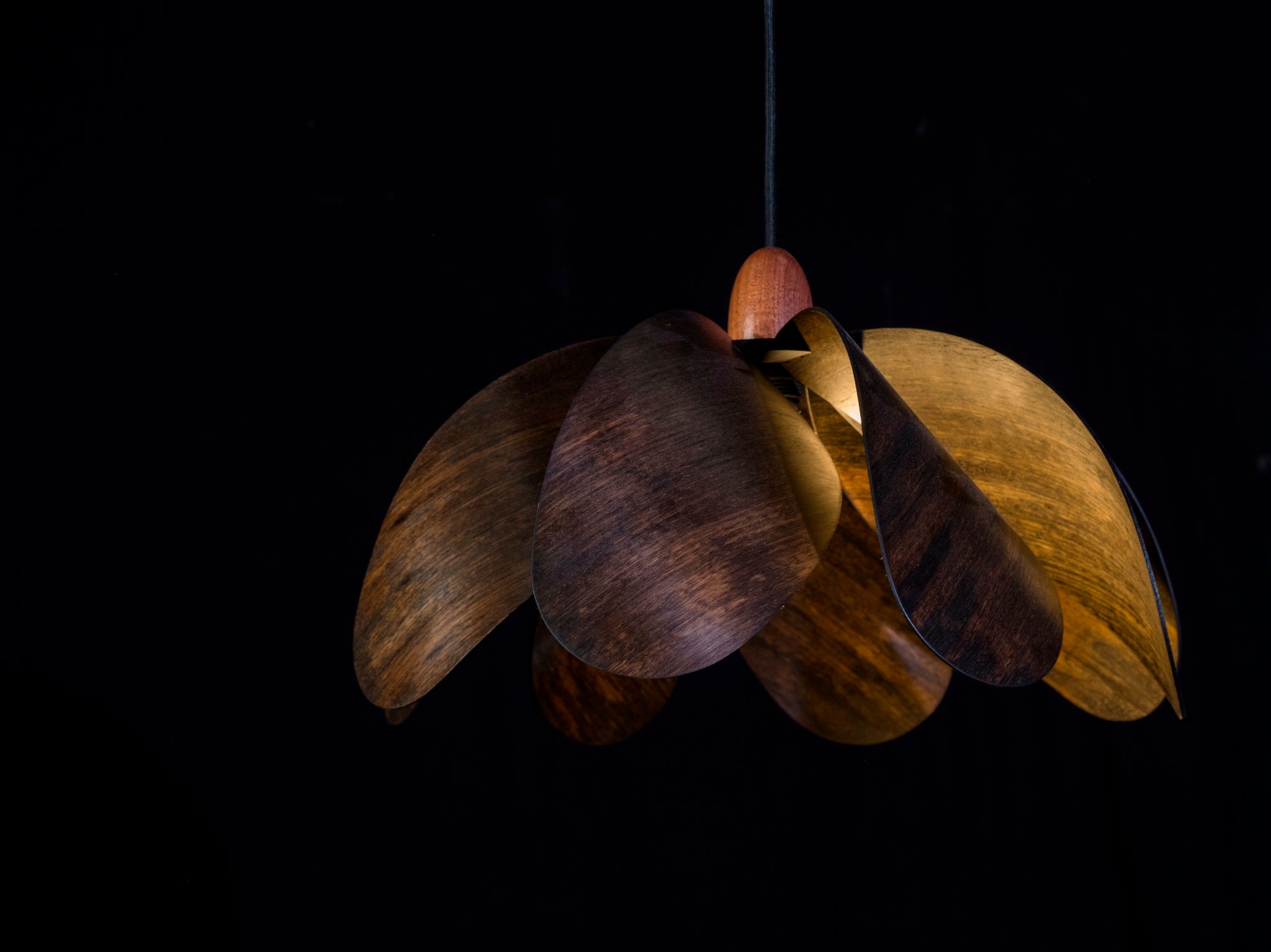 Propeller Pendant Light - Ebonised Eucalypt