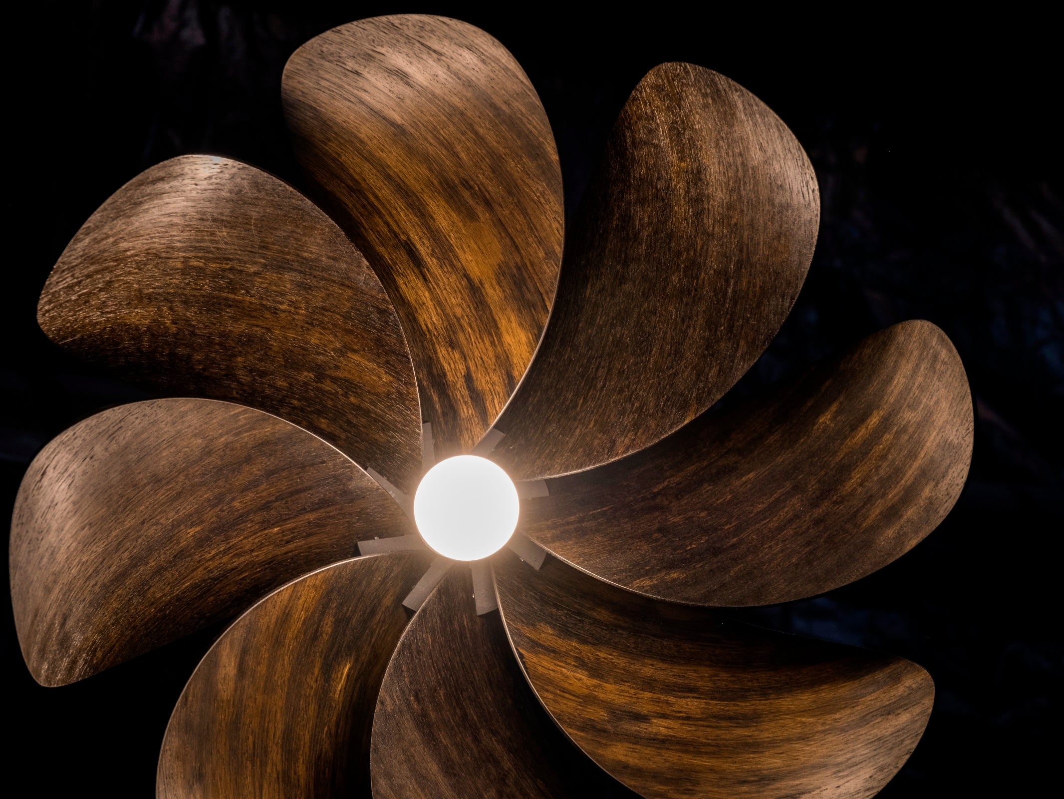 Propeller Pendant Light - Ebonised Eucalypt