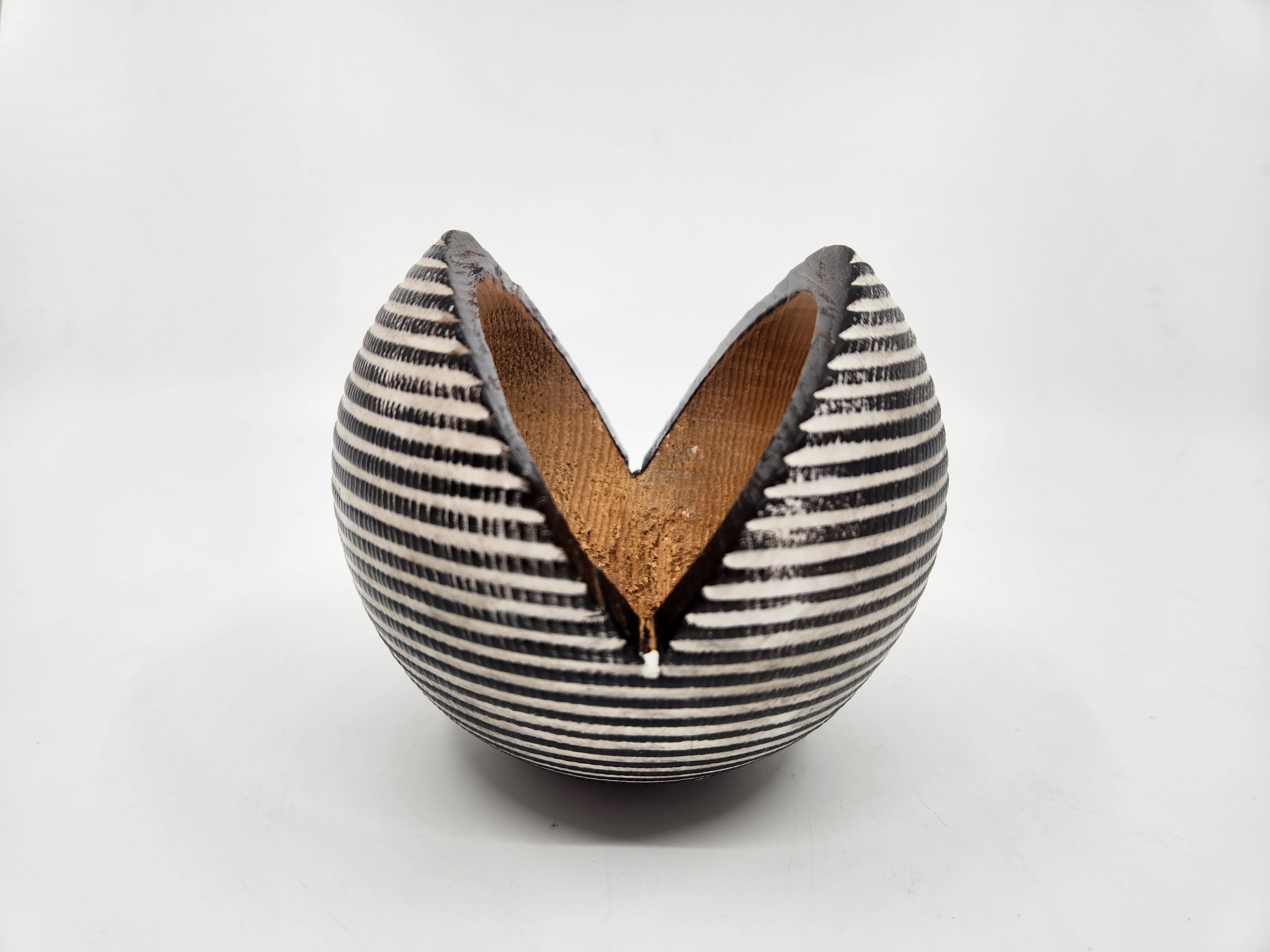 Timber Seed Pod