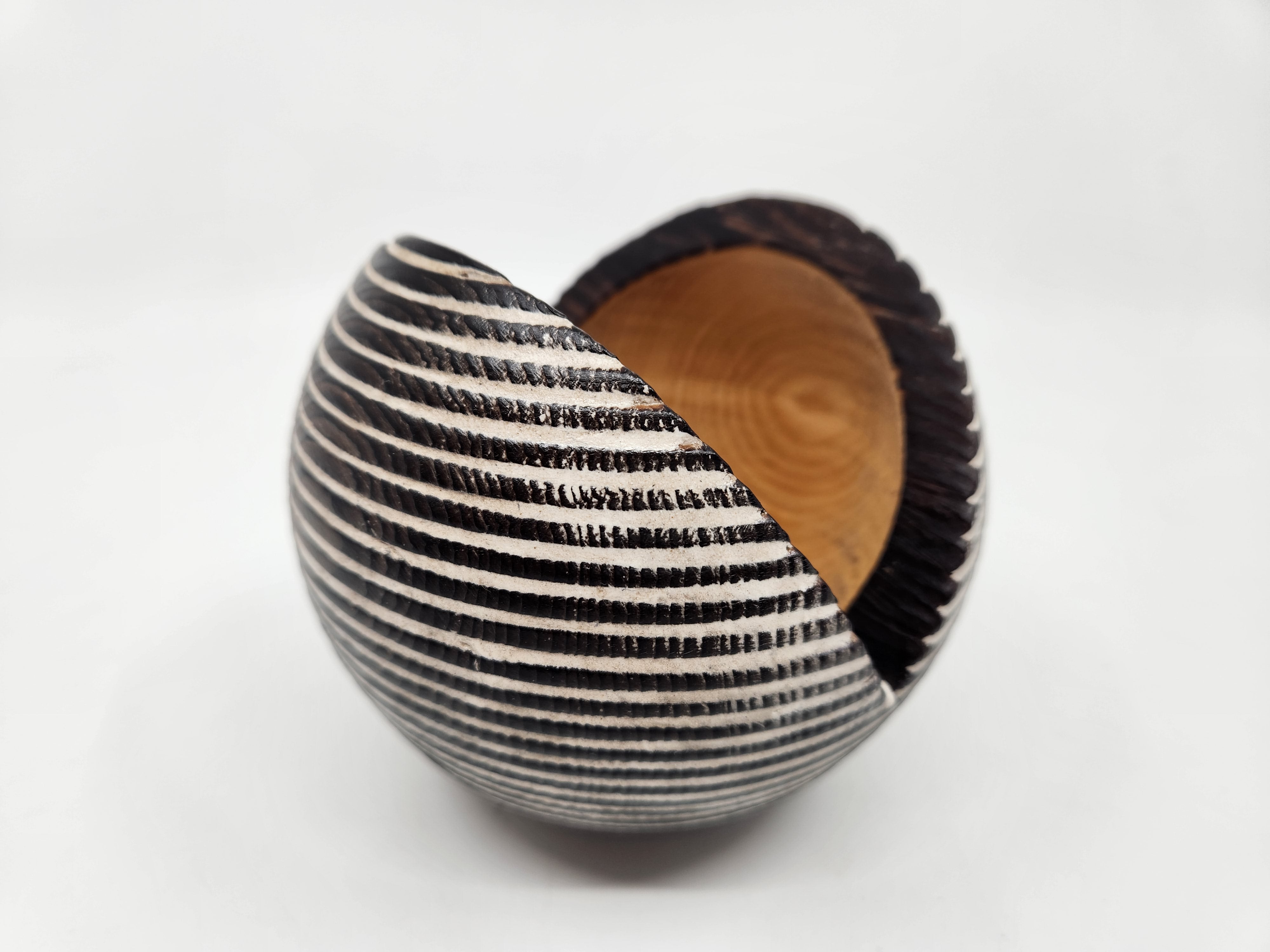 Timber Seed Pod