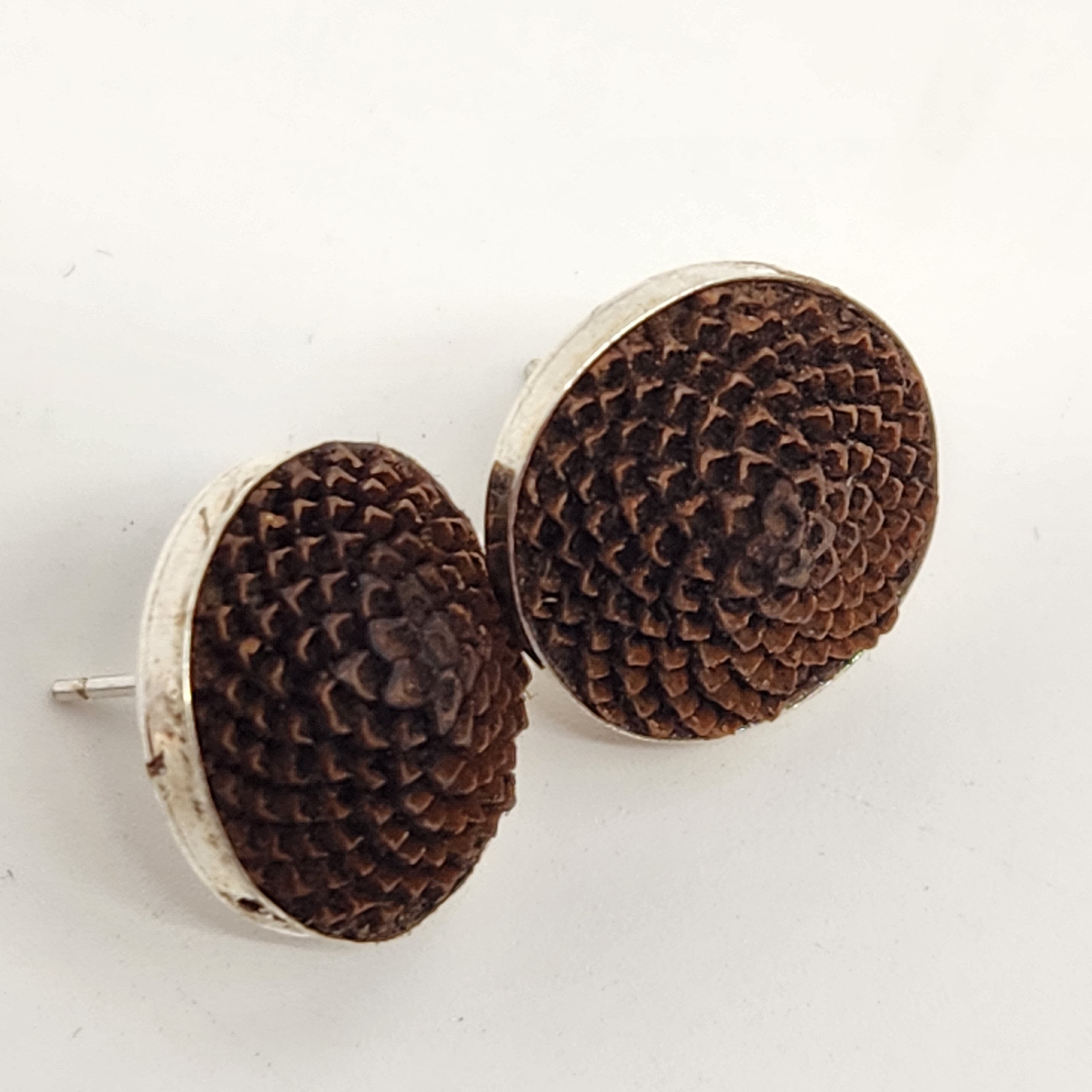 Protea Earrings