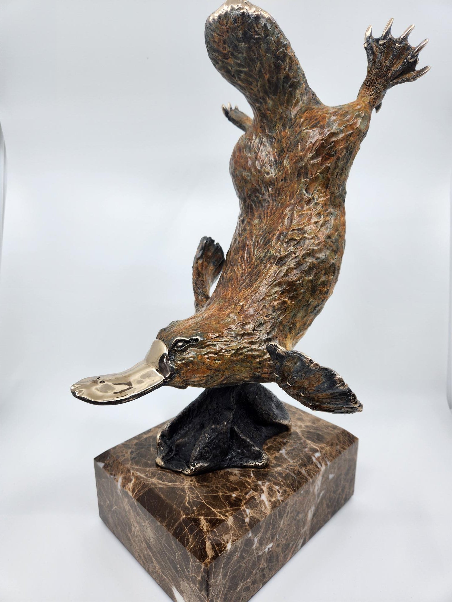 Lifesize Bronze Platypus Diving