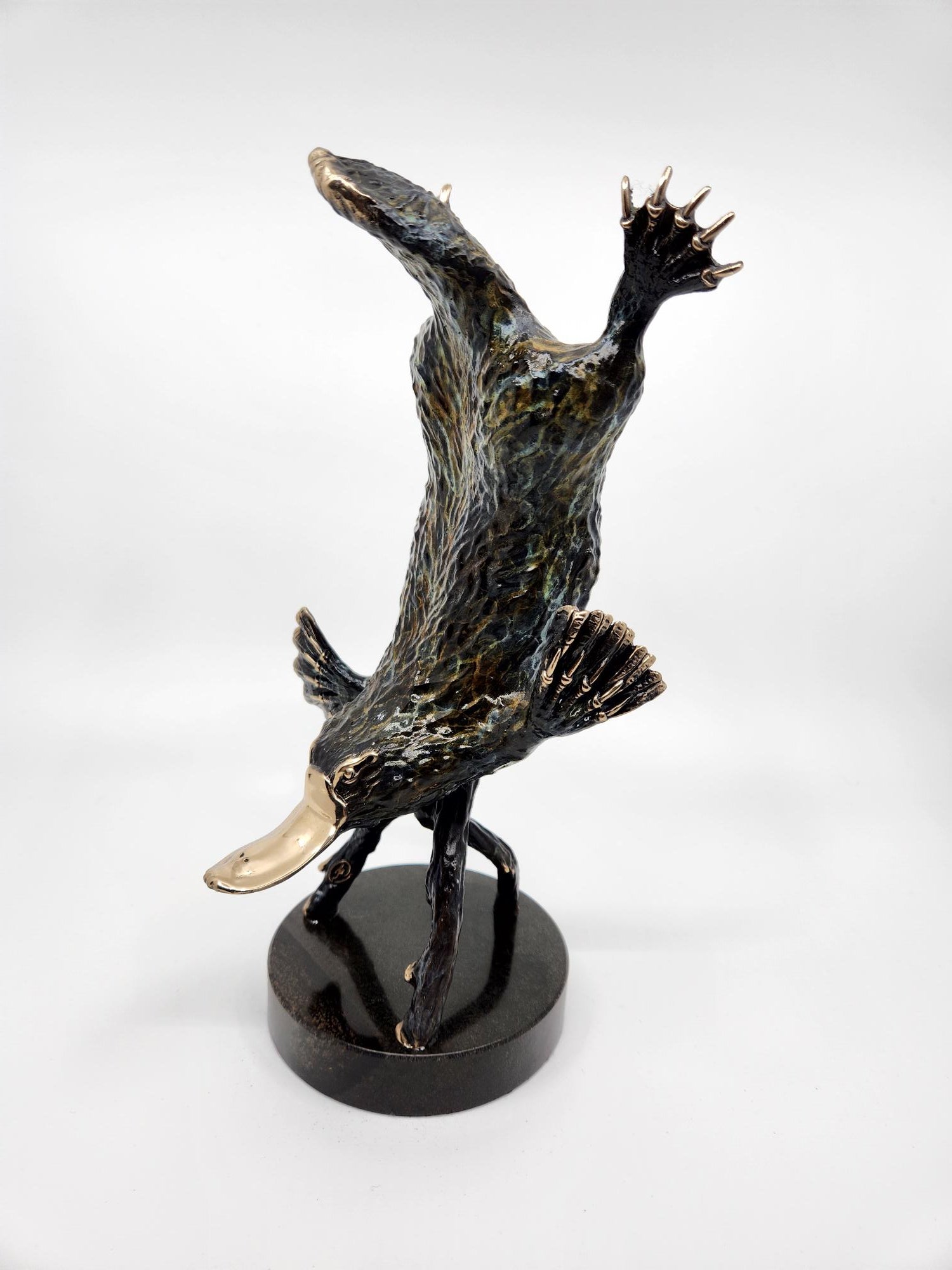 Bronze Platypus Diving