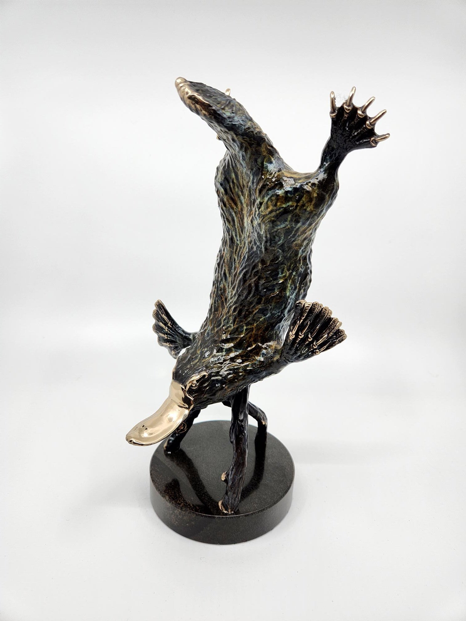 Bronze Platypus Diving