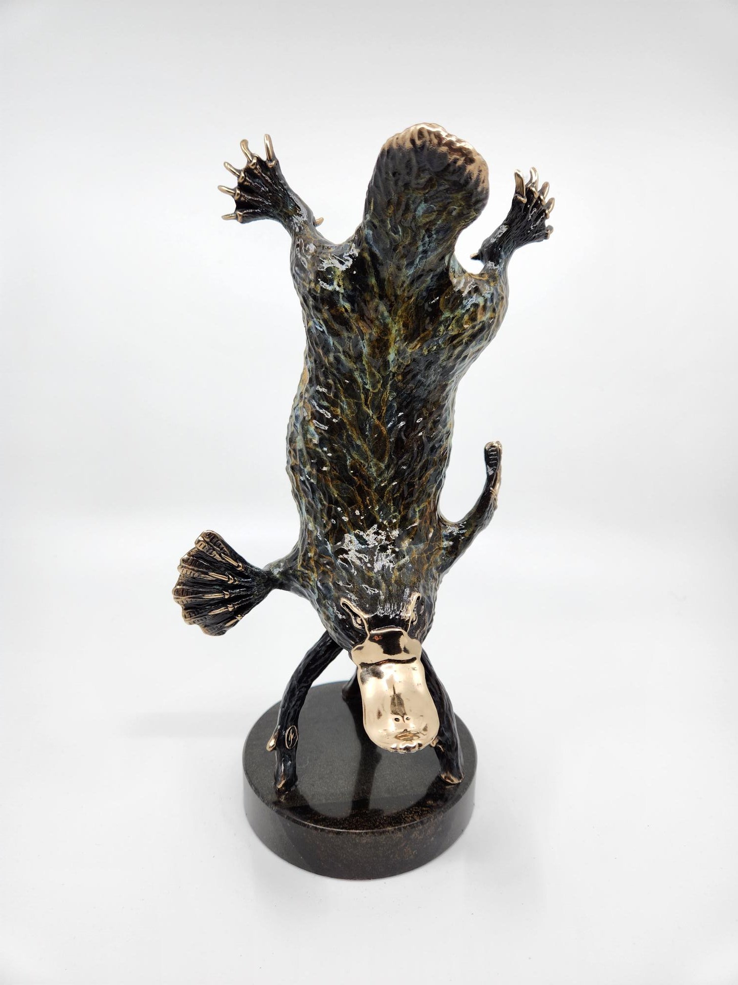 Bronze Platypus Diving