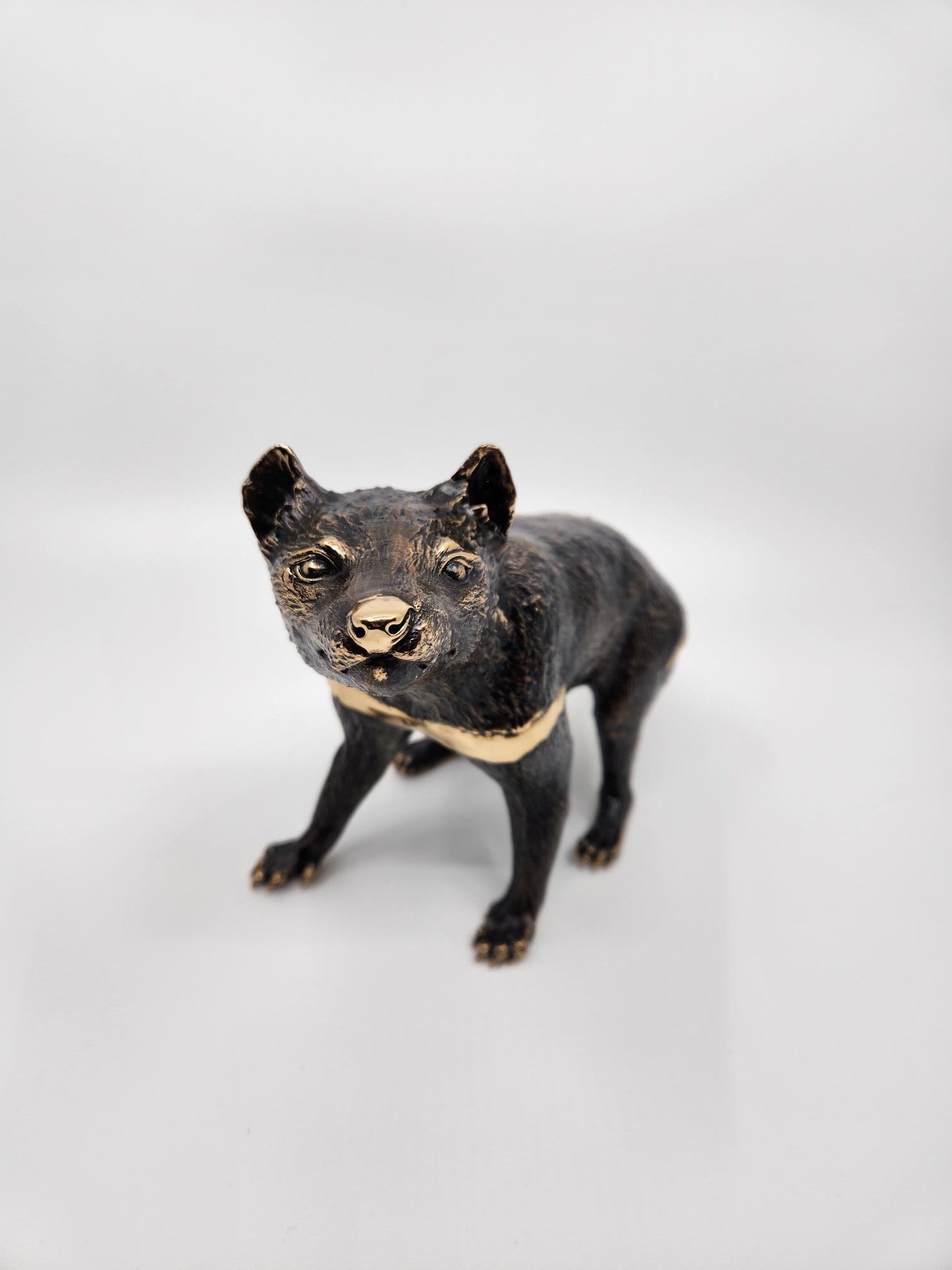 Tasmanian Devil