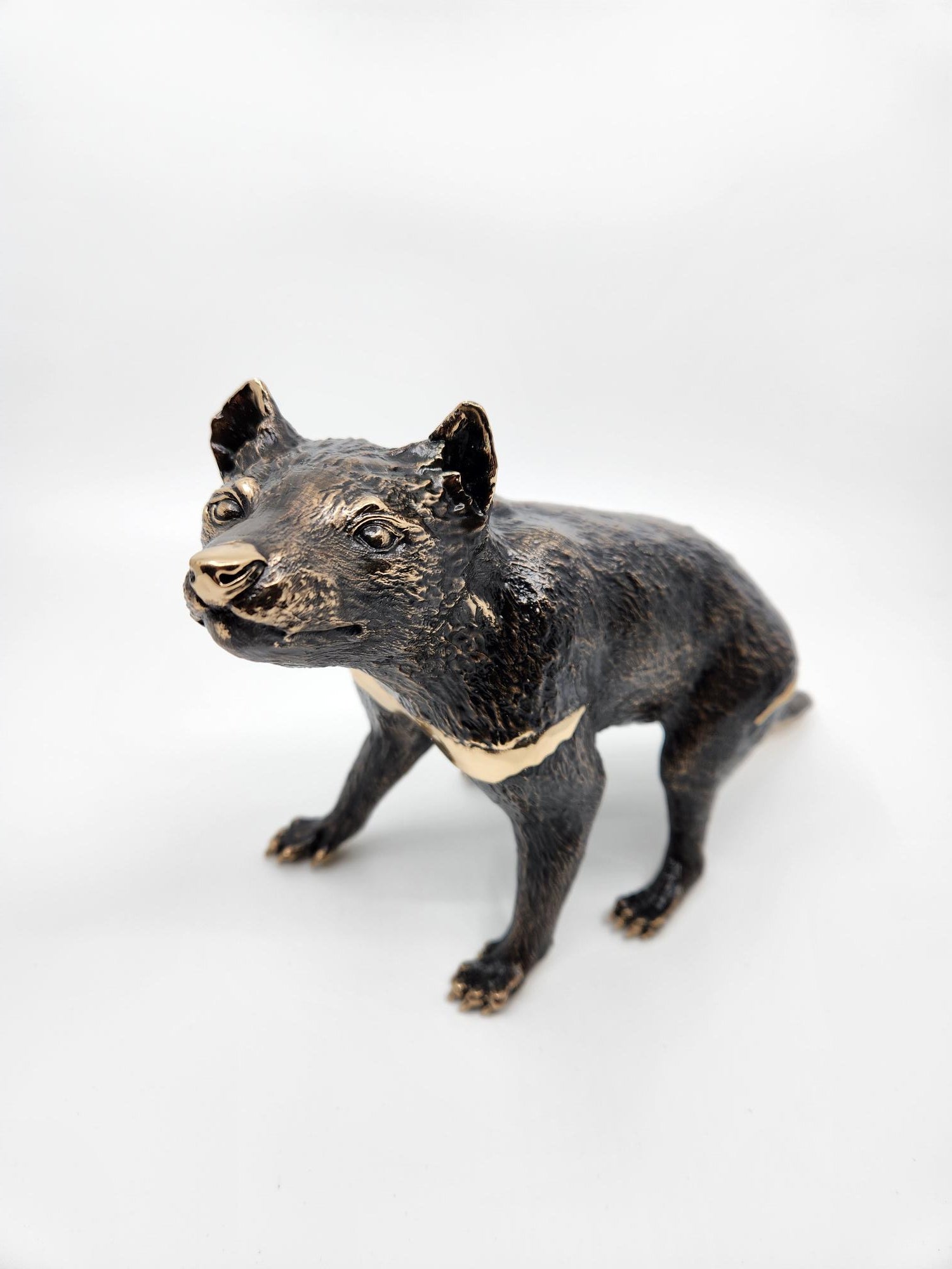 Tasmanian Devil