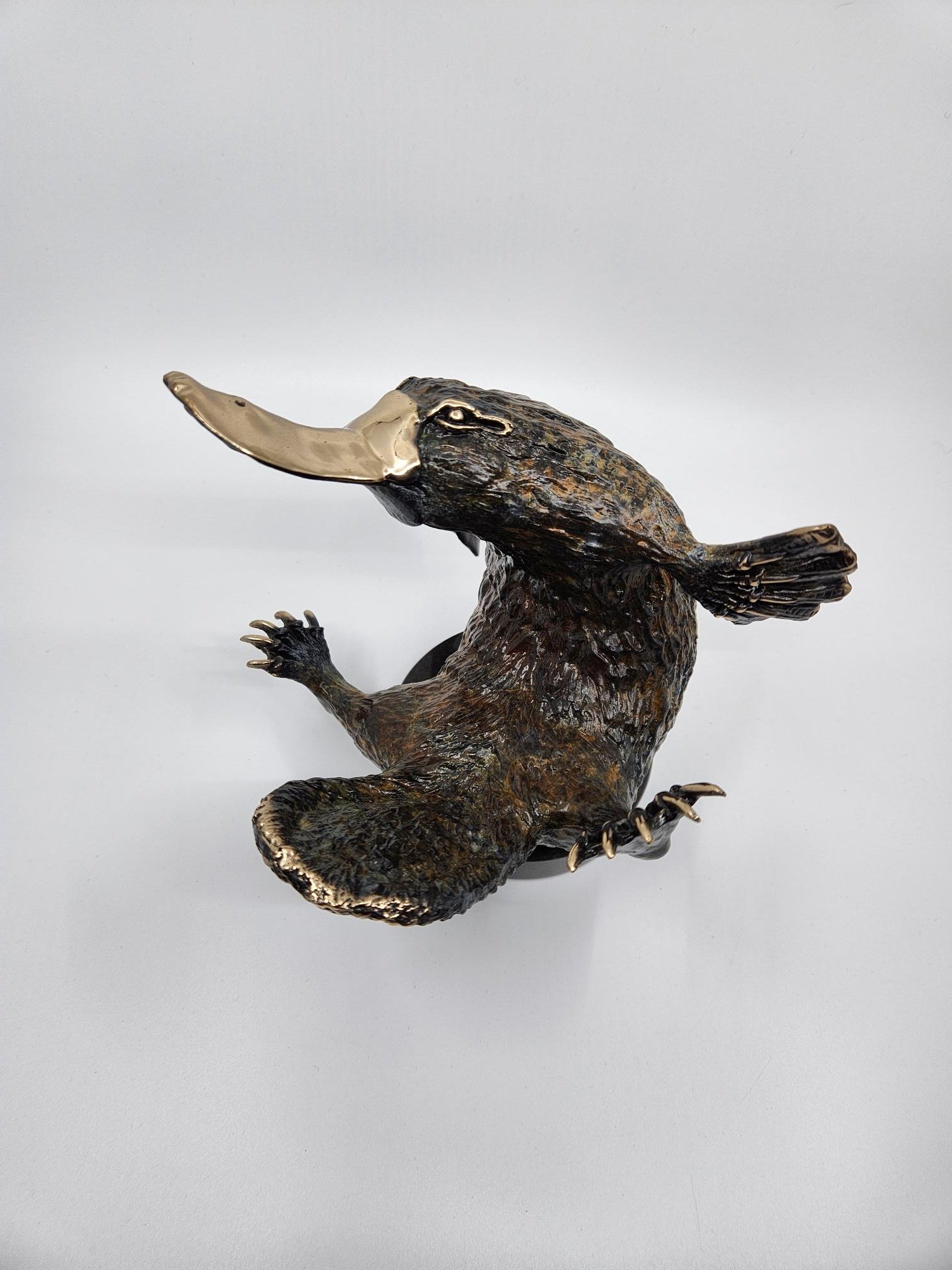 Bronze Playful Platypus