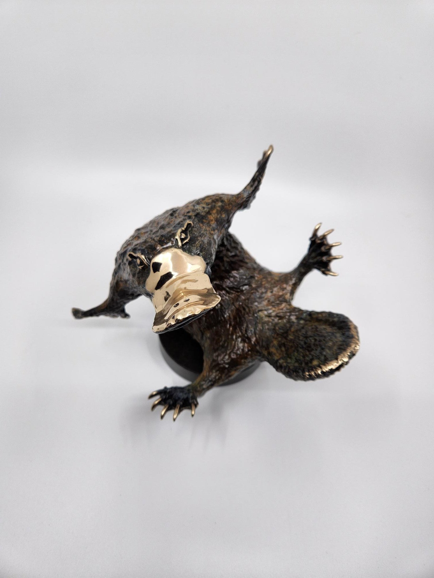 Bronze Playful Platypus