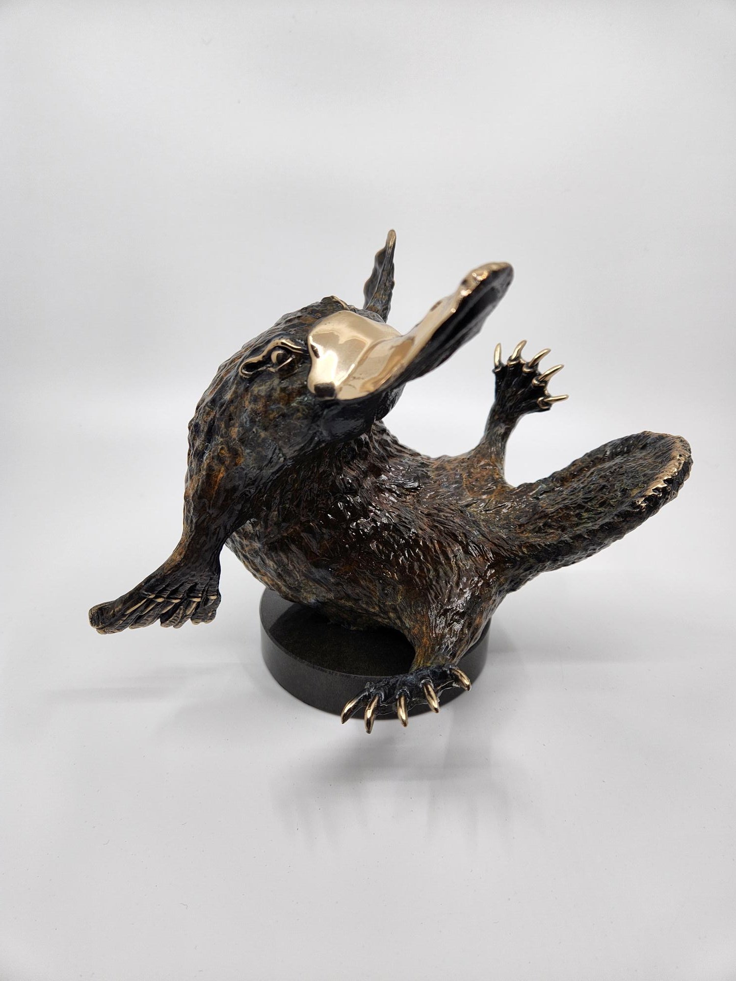 Bronze Playful Platypus