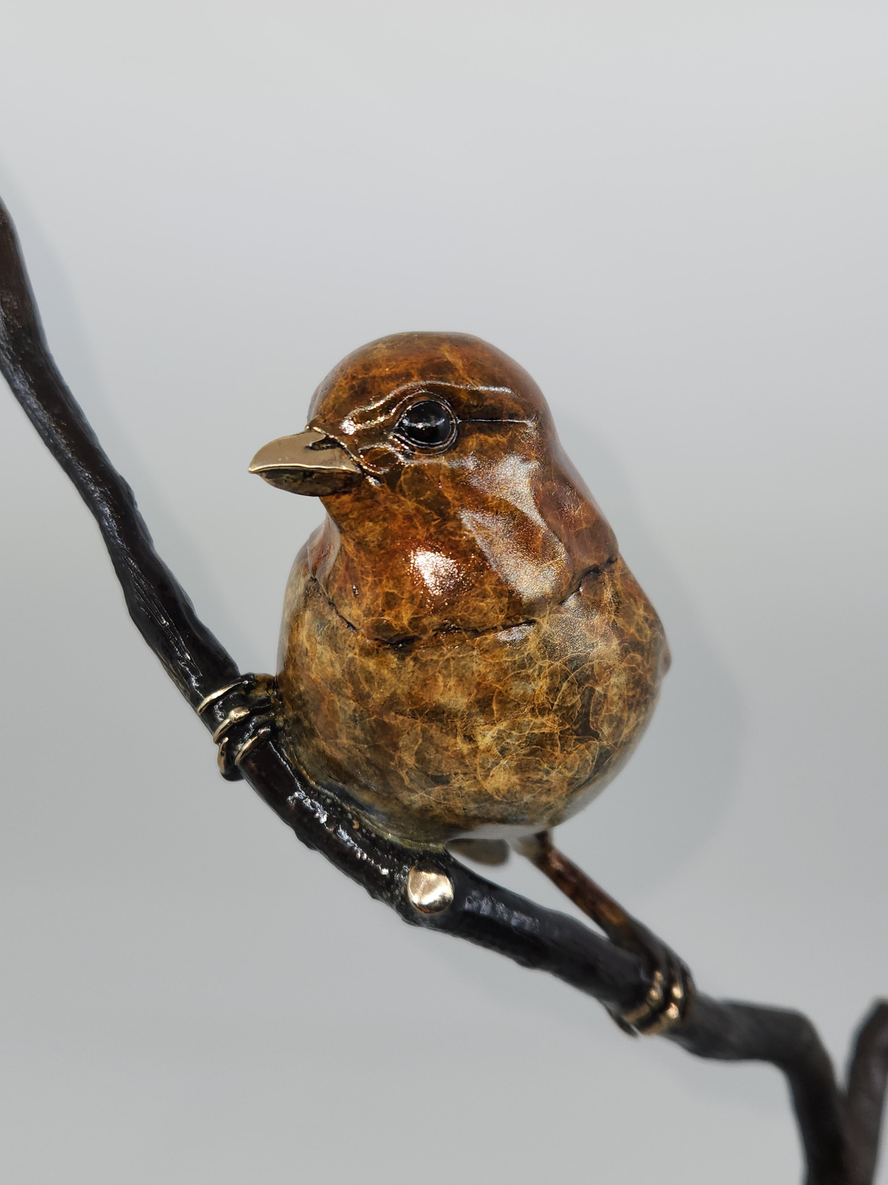 Robin on a Branch