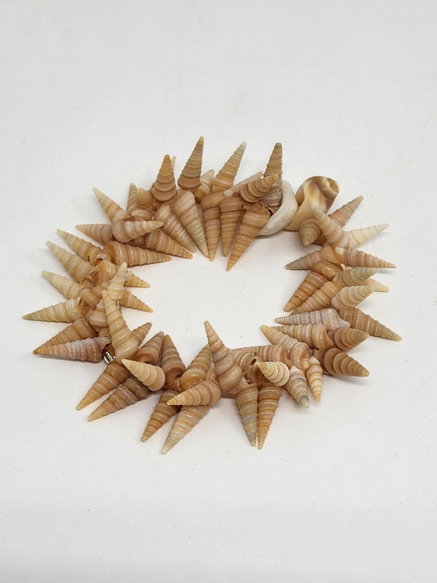 Shell Bracelet