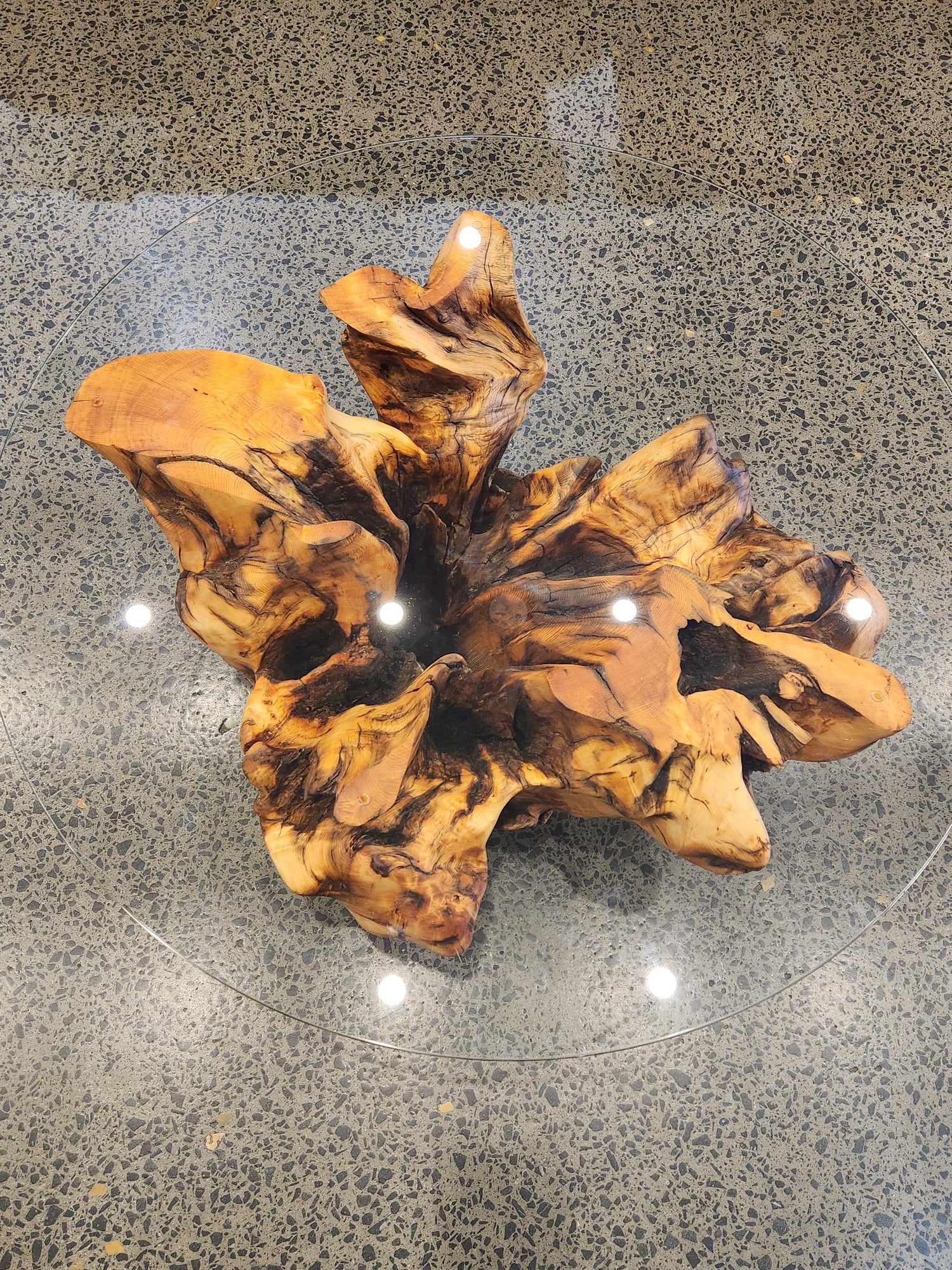 Huon Pine Stump Coffee Table