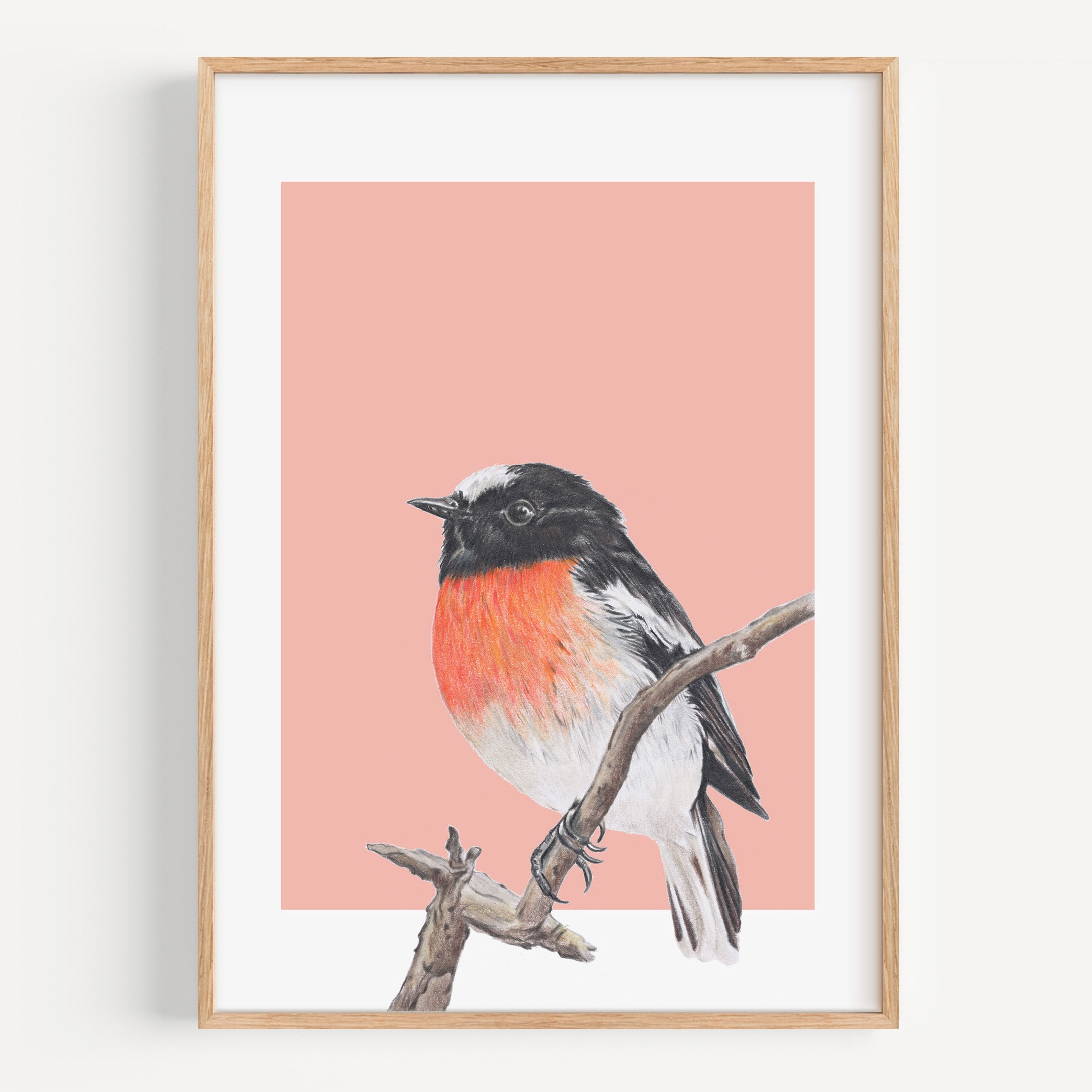 Scarlet Robin Fine Art Print