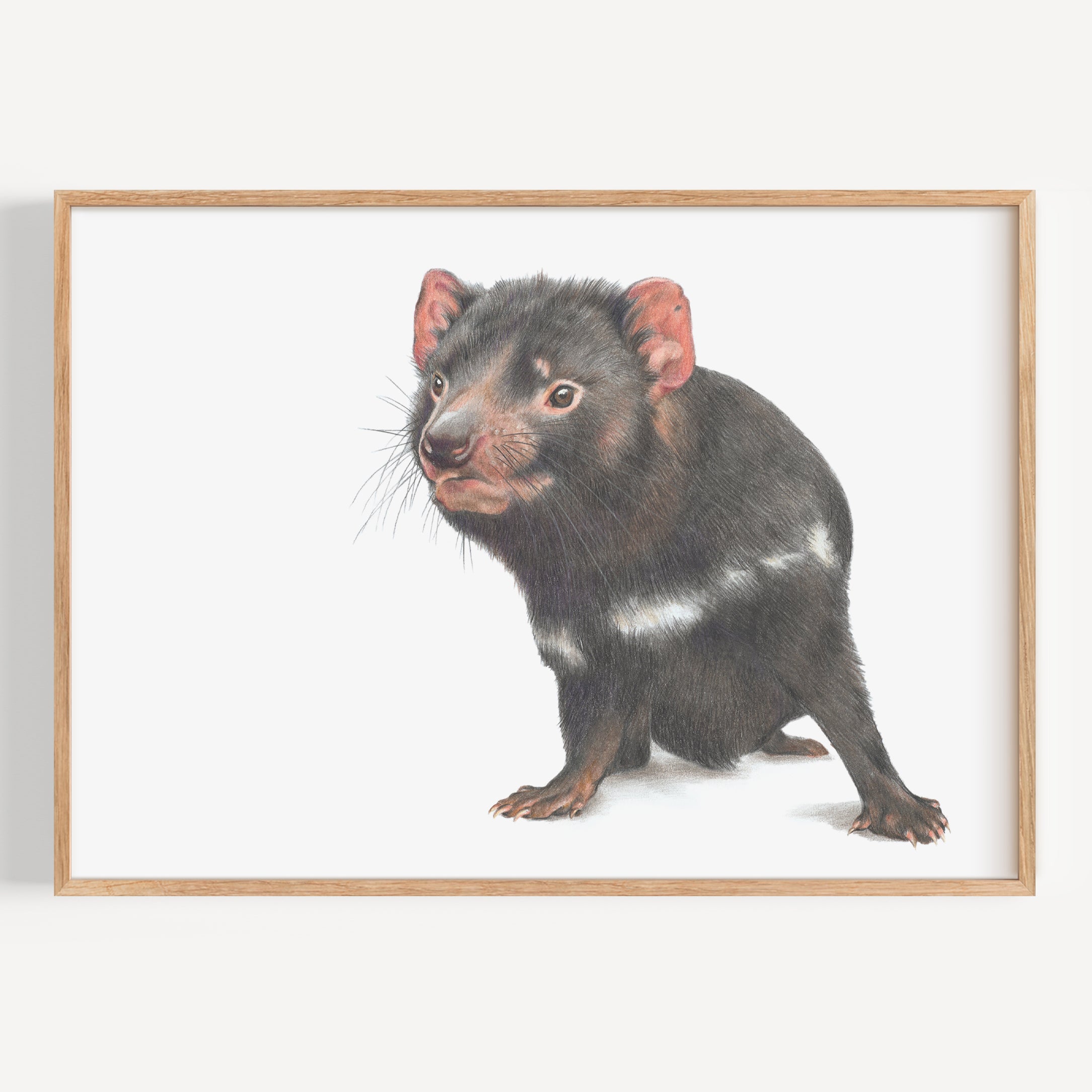 Tasmanian Devil Fine Art Print
